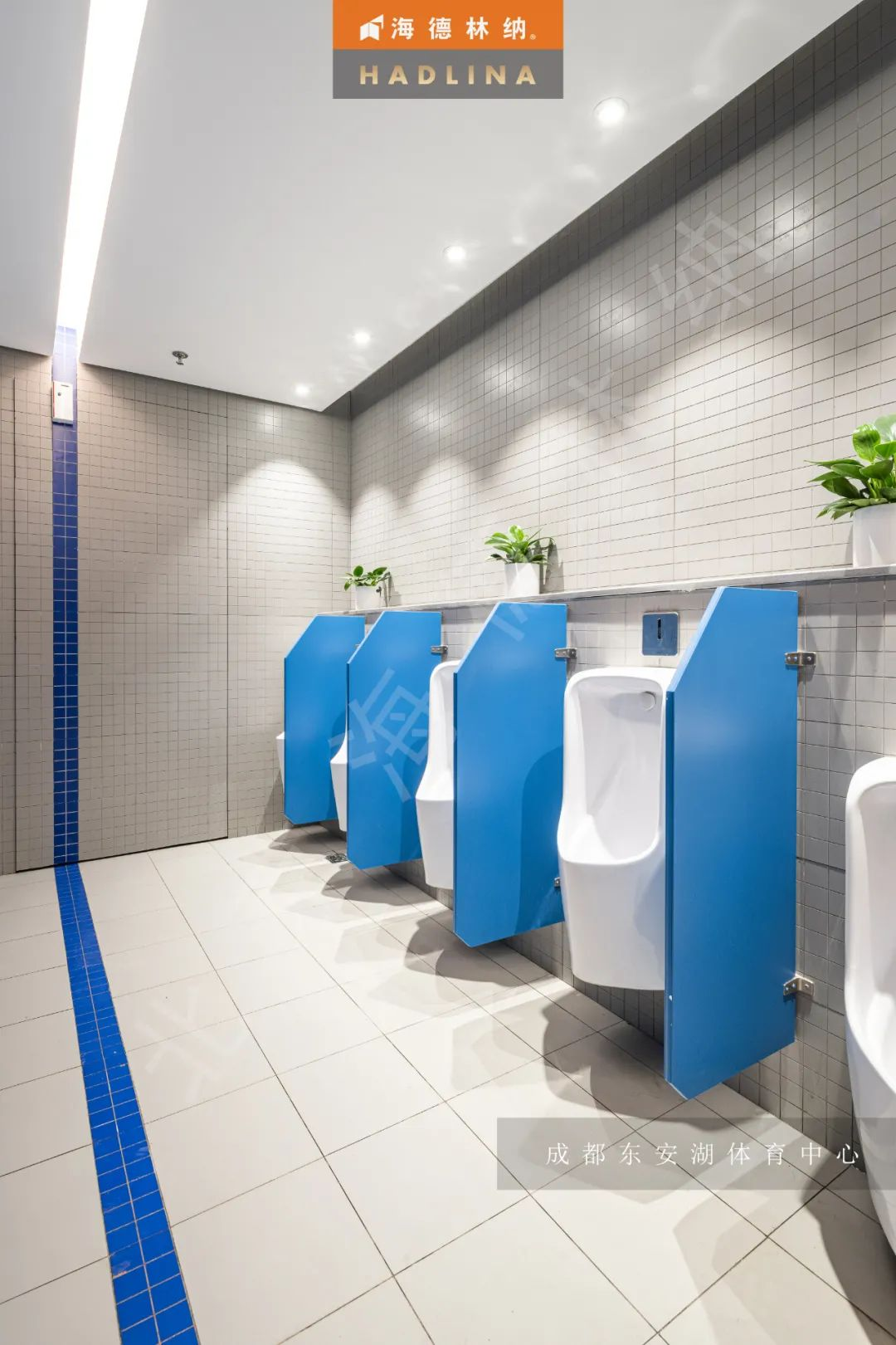 1649750232262509.jpg 1649744388(1).jpg